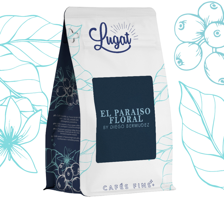 caffe in grani specialty fermentazione anaerobica